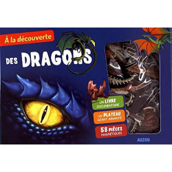 à la découverte des dragons