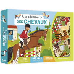 à la découverte des chevaux