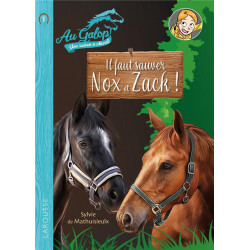 Au galop, une année à...