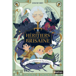 Les Héritiers de Brisaine -...