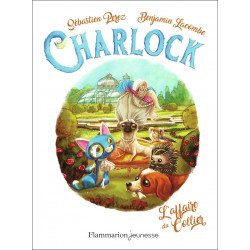 Charlock Tome 3 : L'affaire...
