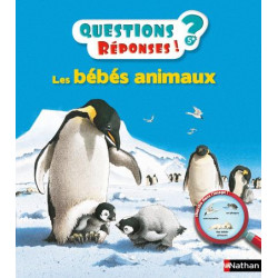 QUESTIONS RÉPONSES 5+: Les...
