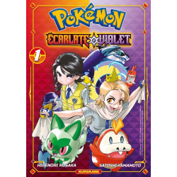 Pokémon, La grande aventure...