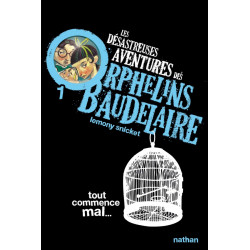 Les désastreuses aventures...