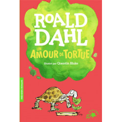 Un amour de tortue