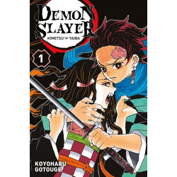 Demon slayer Tome 1