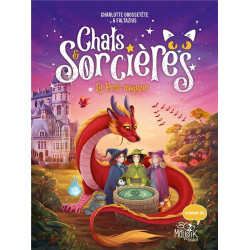 Chats & sorcières Tome 3 :...