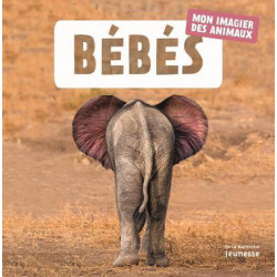 Bebes mon imagier des animaux