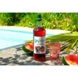 Sirop Pastèque 1L