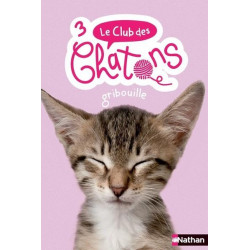 Le club des chatons T.3,...