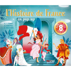 L'histoire de france en pop-up