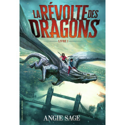 La révolte des dragons t.1